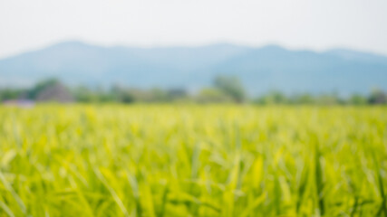 Farms views blur background