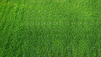 green grass background soccer field green grass artificial turf texture top view, light and shadow, wallpaper nature - obrazy, fototapety, plakaty