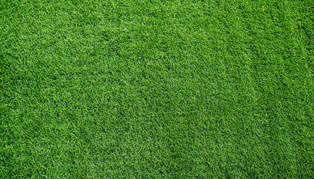 green grass background soccer field green grass artificial turf texture top view, light and shadow, wallpaper nature