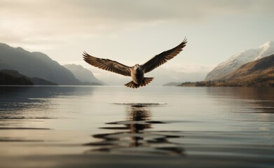 Fototapeta na wymiar Bird flies low across still lake 