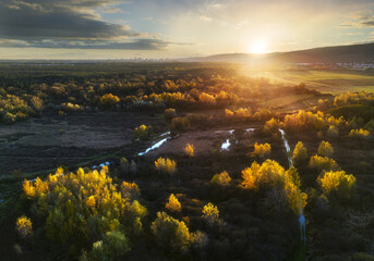 Nice aerial view of yellow tree on dramatic sunset over bog Jursky Sur, Slovakia