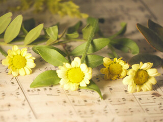 That beautiful lifestyle 