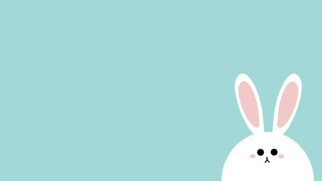 4k animation of cute bunny for easter