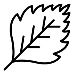 Vector Design Minty Mingle Icon Style