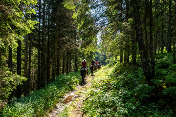 Horseback riding in the carpathian landscape