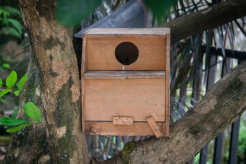 wooden bird house on tree