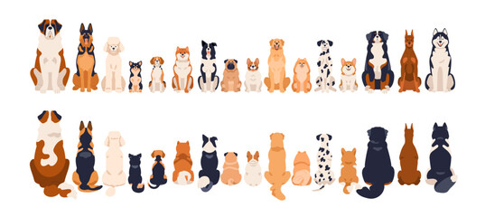 Dogs border, front and back rear views, tails. Canine animal breeds in line, sitting in row. Many different doggies, cute puppies. Flat graphic vector illustration isolated on white background