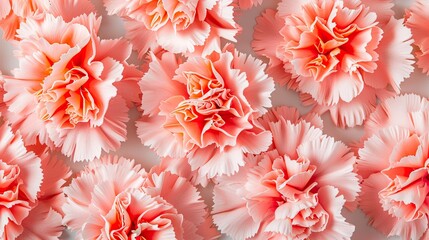 Vibrant coral carnation flowers backdrop