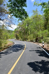 Fototapeta premium The asphalt road in Tub-Lan National Park, Thailand