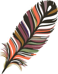 feathers vector illustration