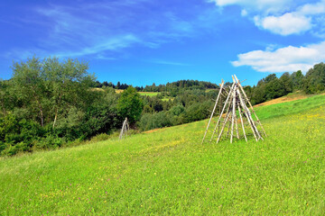 Summer landscape in the mountains, Gorce mountains, Poland 
Forest and grassy meadow under the blue sky with some clouds.
Empty wooden poles for drying the hay.