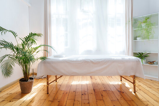 Massage room with table near potted plant