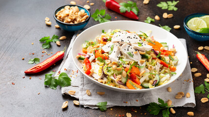 Healthy Vietnamese Chicken Salad with vegetables and peanuts - obrazy, fototapety, plakaty