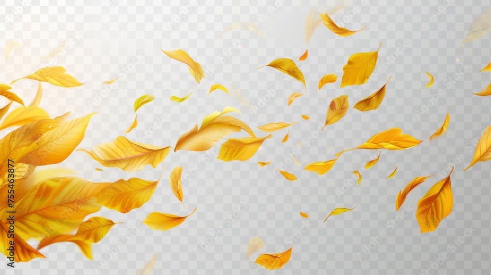 Poster an autumn tree foliage illustration with a flying yellow leaf curl on a transparent background. natu