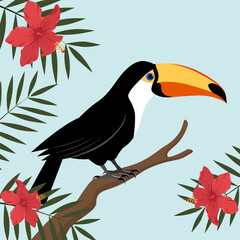 A toucan sits on a branch.