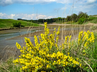 The beginning of spring. Bright sunny day. First spring flowers.