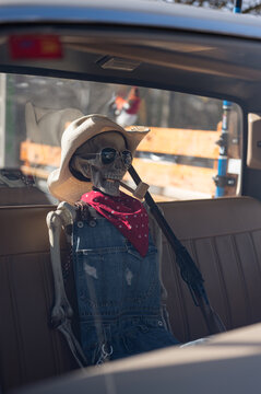 Detail of a skeleton dressed as a farmer with a straw hat and a lever-action rifle. He is sitting in the bench seat of an American truck.