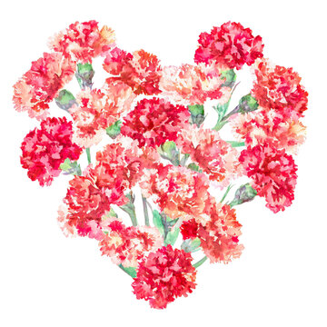 Illustration of heart-shaped carnations painted in watercolor