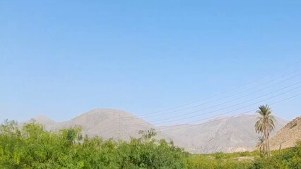 Beautiful mountains, lush natural plants, forests, tall green trees, flowers, rivers, canals, bridges, animals, birds, stone houses, blue sky, pleasant environment 