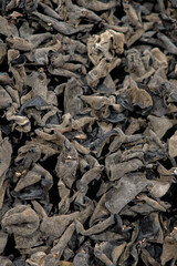 Dry black fungus or wood ear mushroom background