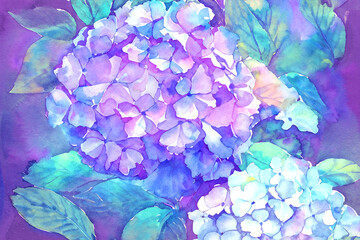 紫陽花_アジサイ_花(AI生成：撮影した写真を水彩風に加工)