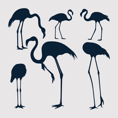 flat design flamingo silhouette collection