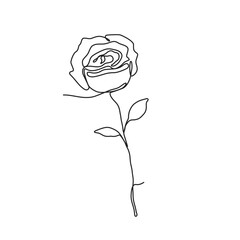 Obraz premium Hand drawn rose in continuous one line style. Vector, png outline of flower isolated on transparent background