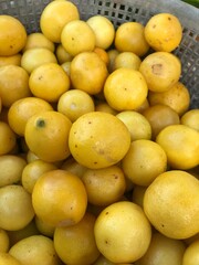 lemons in a market