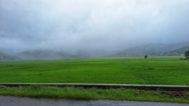 Rice fields with fog in Cancar, Manggarai, East Nusa Tenggara, Indonesia.