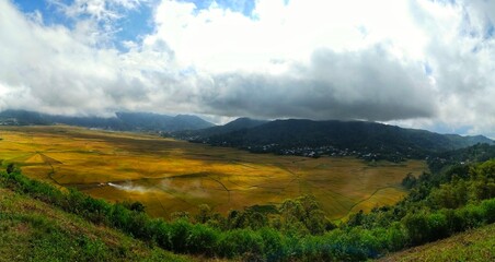 a rice field area shaped like a spider web in Cancar, Manggarai, Flores Island, Indonesia.