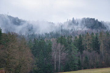 Foggy forest on a mountain in the Elbe Sandstone Mountains. Gloomy atmosphere
