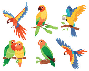 Fototapeta premium Colorful compositions set with parrot birds on tropical leaves in bright colors.Hand drawn style