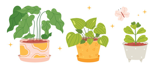 Set of house plants in pots in hand drawn style. Ficus, succulent, pilea, © Irena