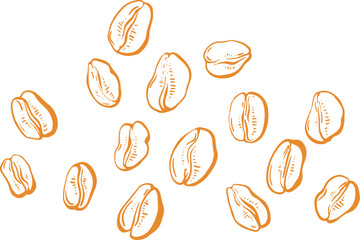 Oat spike. Vintage plant in engraving style. Golden grains for print, package design