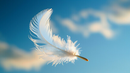 a feather in the air on blue sky background - obrazy, fototapety, plakaty