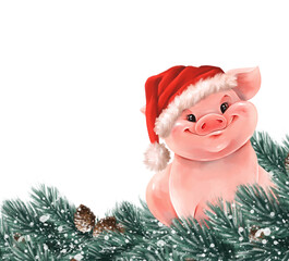 Cute pig in Santa hat. Christmas illustration with fir branches and piglet. - 755499655