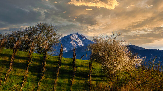 Foto scattata nelle colline attorno a Tassarolo (AL) al famoso Monte Tobbio.