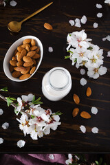 Almond milk with almonds and almond blossoms on the table: the vegan alternative to traditional milk