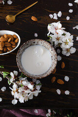 Almond milk with almonds and almond blossoms on the table: the vegan alternative to traditional milk