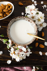Obraz na płótnie Canvas Almond milk with almonds and almond blossoms on the table: the vegan alternative to traditional milk