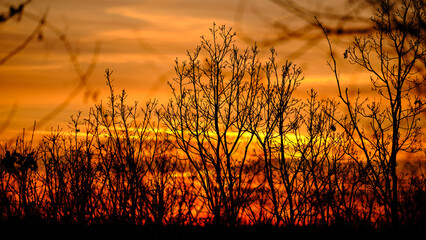 Foto scattata al tramonto nelle colline attorno a Tassarolo (AL).