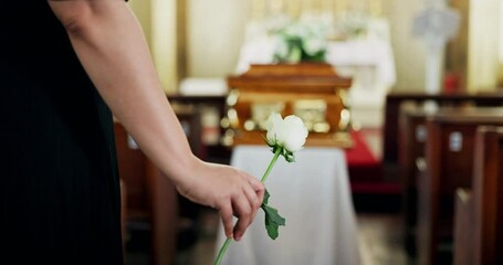 Funeral, hand and woman in church with rose at memorial service at coffin for respect, support and comfort. Death, grief and widow with flower, memory and goodbye at casket for spiritual farewell.