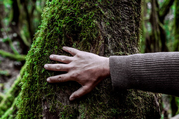 One man hand touching softly a green trunk tree covered in musk. People and nature love....