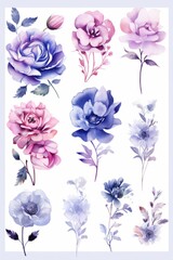 watercolor purple flowers on a white background