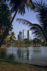 Fototapeta na wymiar Lumpini park in Bangkok downtown with skyscrapers and palms, Bangkok, Thailand