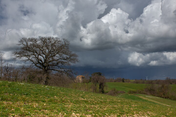 Temporale in campagna