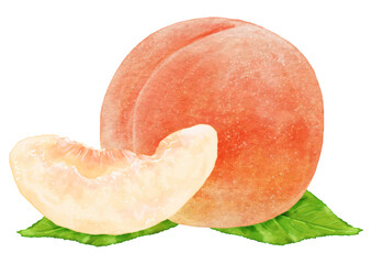 リアルな桃1個とカット一切れのイラスト(葉あり)