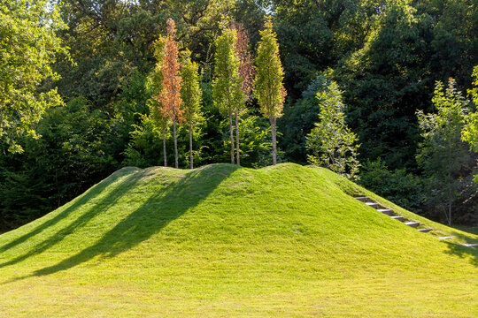 Jardin botanique - Arbres &agrave; contrejour plant&eacute;s en haut d'une butte en pelouse verte