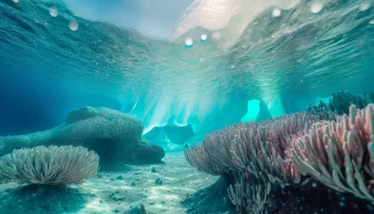 Foto op Plexiglas coral reef in the sea © Soojeong