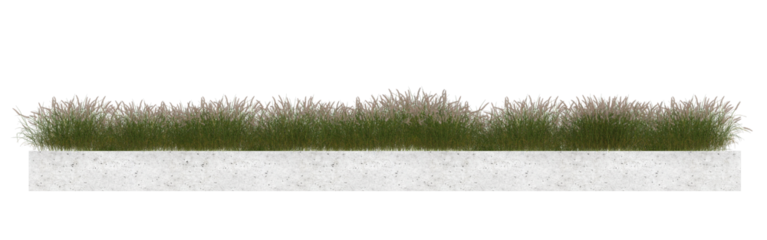 grass isolated on transparent background.